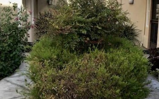 Luxury Living in a Gorgeous Mediterranean