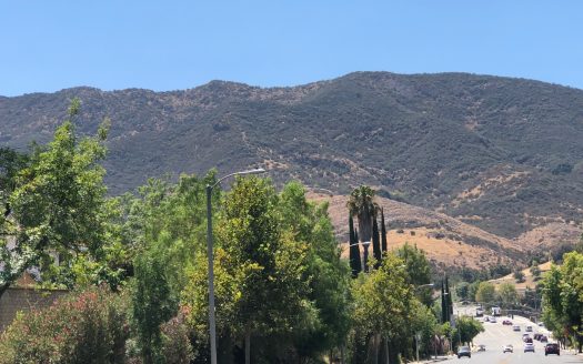 Old Agoura Open House