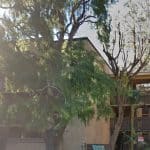 Warner West Condos in Woodland Hills