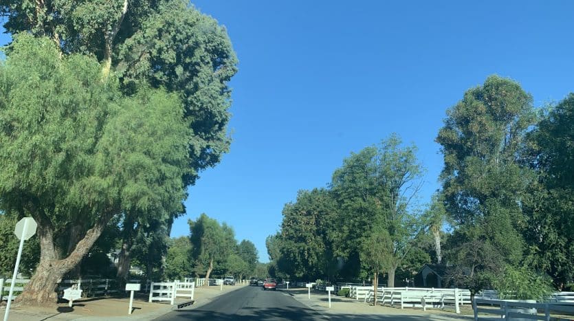 Hidden Hills Realtor