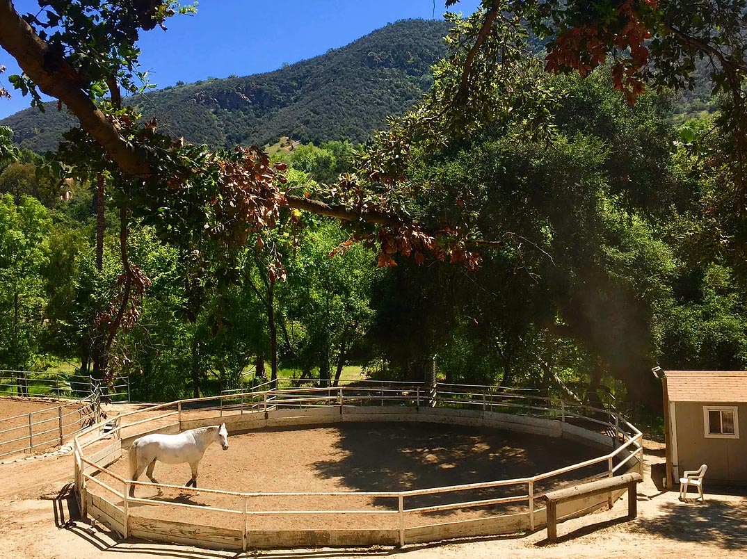 Bell Canyon Equestrian Center