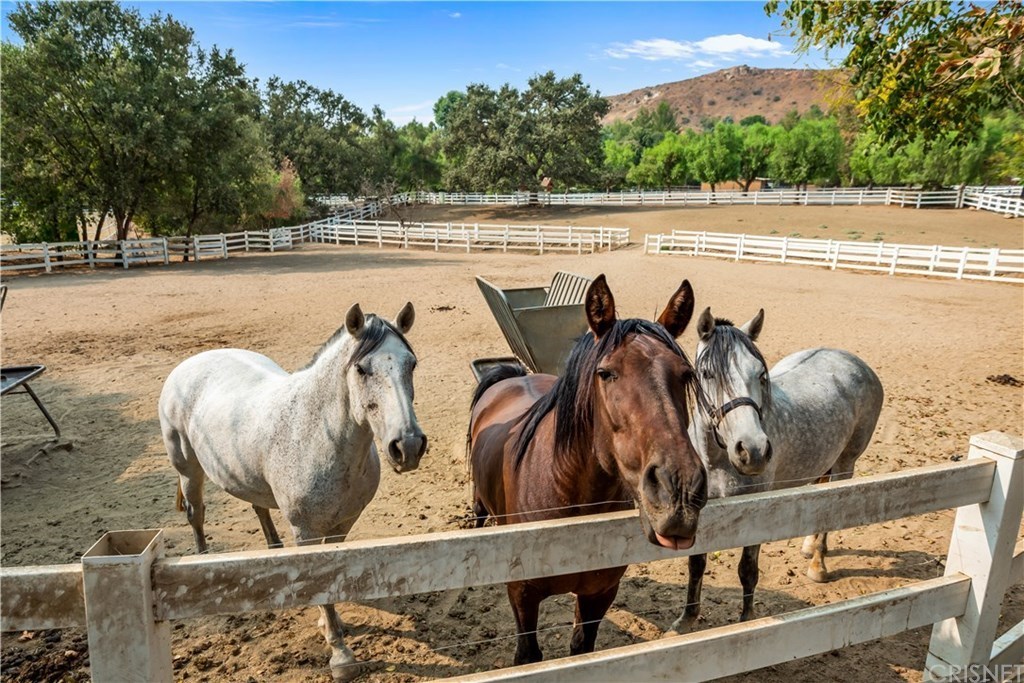 Equestrian mansion in Agoura Hills