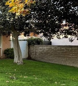 8151 Sedan Ave, Canoga Park, CA 91304