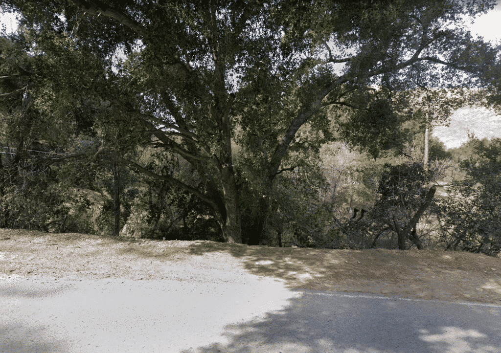 Creekside Park in Calabasas