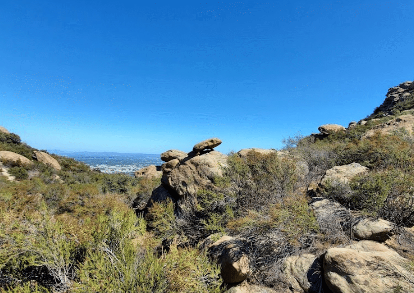 Rex Frankel Wilderness Preserve