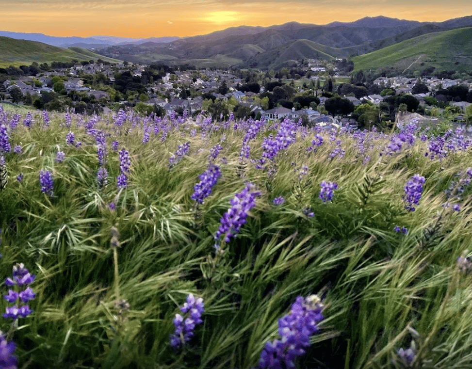 Canyon View Trailhead East simi valley