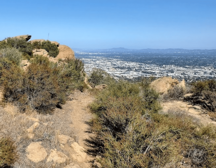 Rex Frankel Wilderness Preserve