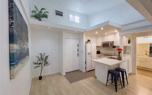 Modern Canoga Park Condo